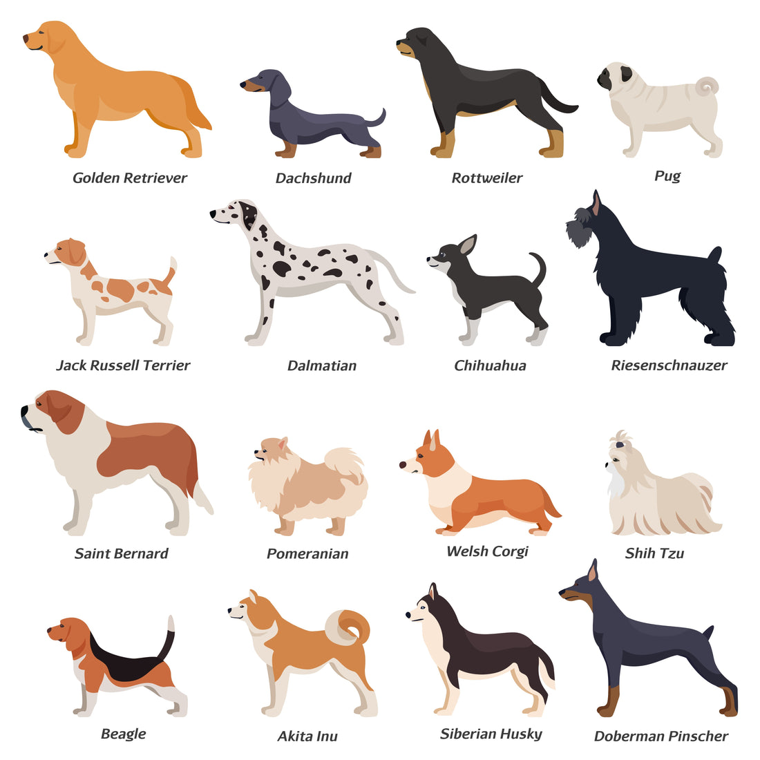 Adorable Dog and Cat Breeds and Their Playtime Preferences