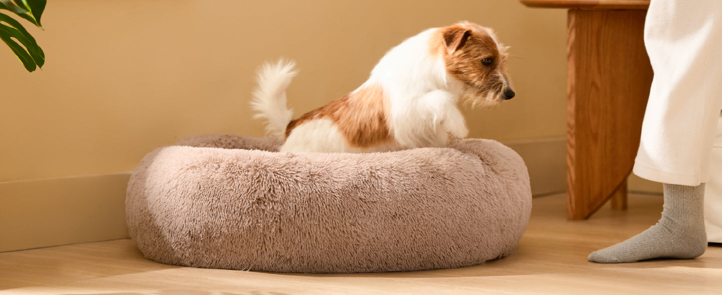 Fluffy Donut Dog Bed Warm Soft Long Plush Pet Cushion Dog House Cat Bed Washable Pet Sofa Mat Calming Samll Large Dog Beds
