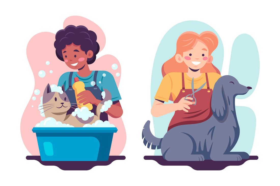 Easy Home Hygiene Tips for Your Pets: Keep Them Fresh, Clean, and Happy