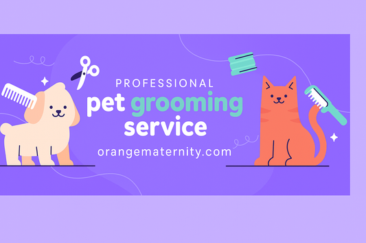 Simple and Safe Tips for Shaving Your Cat at Home